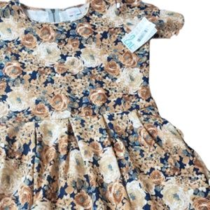 LLR Amelia *gone 6/25*